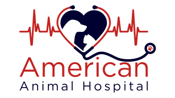American Animal Hospital